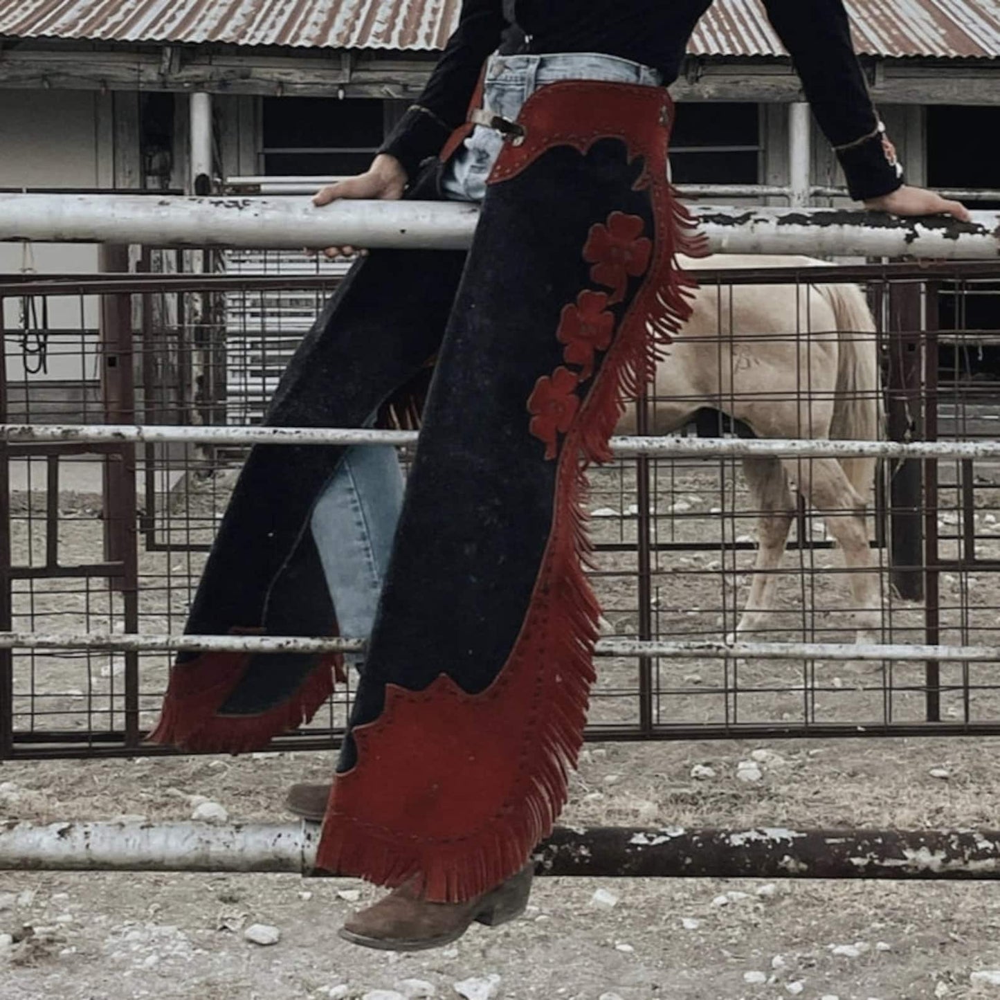 Handmade Cowgirl Chap Buck Skin Suede Black Leather Pant Rodeo Chap Western Leather Chap Suede Gifts For Her , Gifts For Women